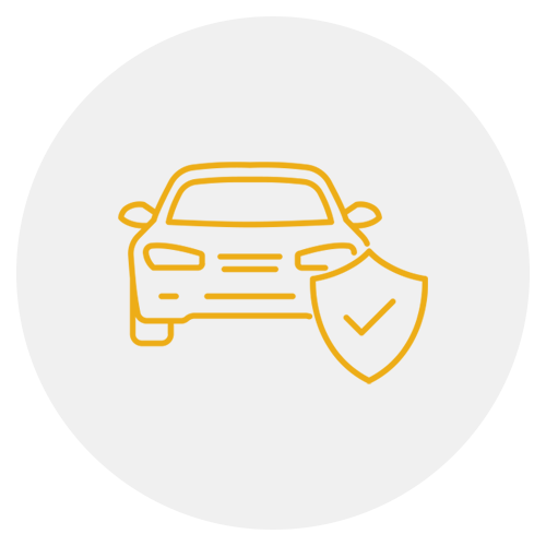 Paint protection